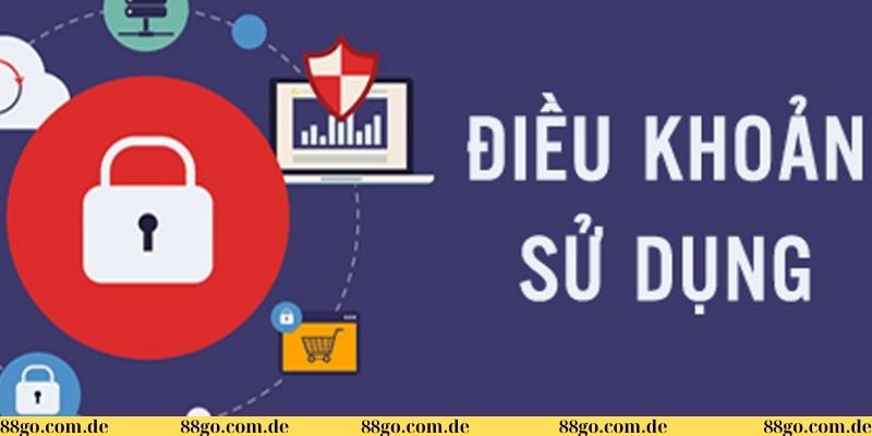 Điều khoản & điều kiện 2 Chi tiết về điều khoản và điều kiện