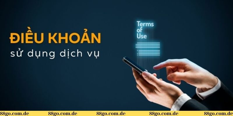 Điều khoản & điều kiện 1 Điều khoản & điều kiện là gì?